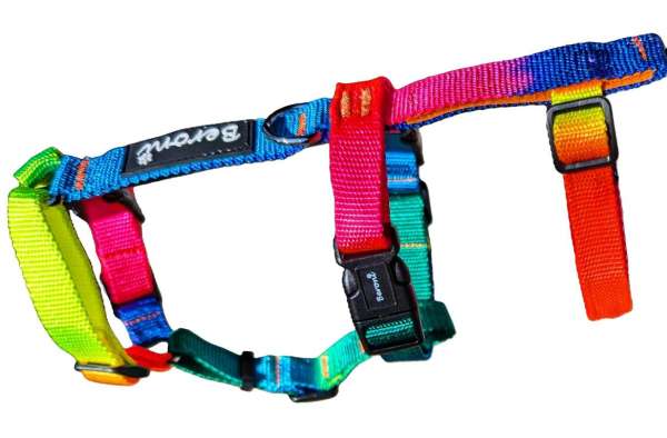Top Katzengeschirr ausbruchsicher Safety Harness Neon Regenbogenfarben