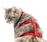 Top Katzengeschirr ausbruchsicher Safety Harness Classic rot